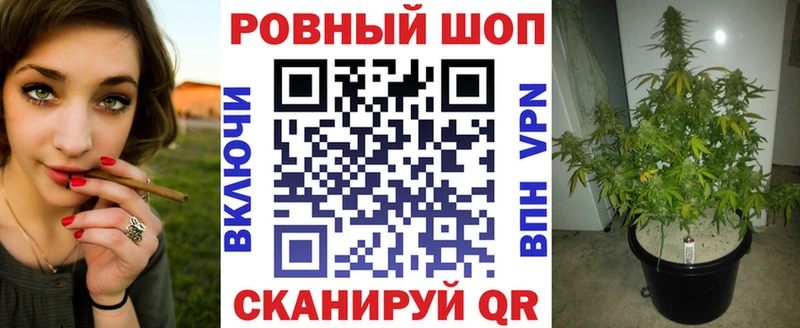 Названия наркотиков Саранск ссылка на мегу ссылка  Alpha-PVP  LSD-25  ГАШИШ  COCAIN 