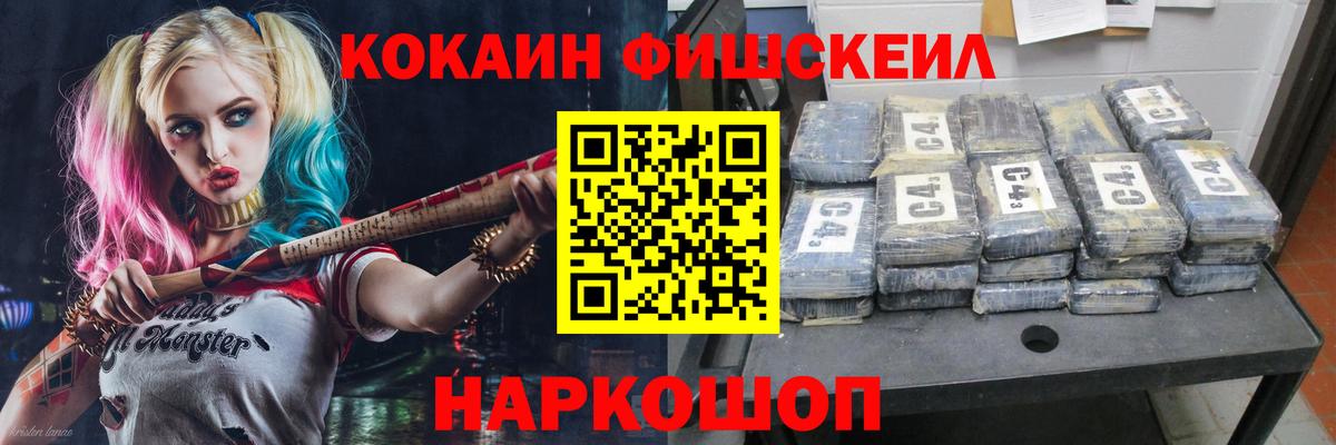 Саранск  Кокаин  Вход с VPN  COCAIN FishScale  COCAIN Fish Scale 
