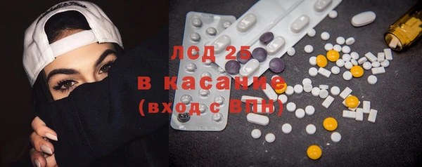 прущие грибы Вязьма