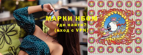прущие грибы Вязьма