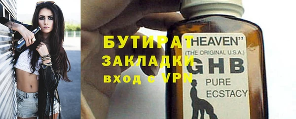 прущие грибы Вязьма