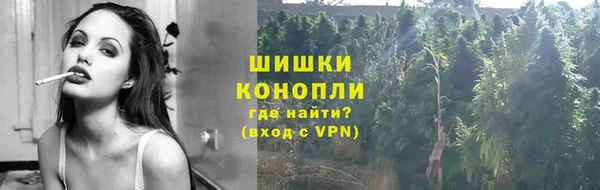 дживик Вяземский