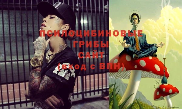 дживик Вяземский