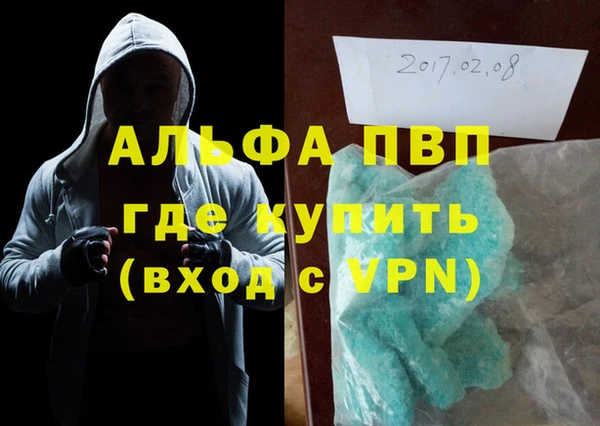 прущие грибы Вязьма