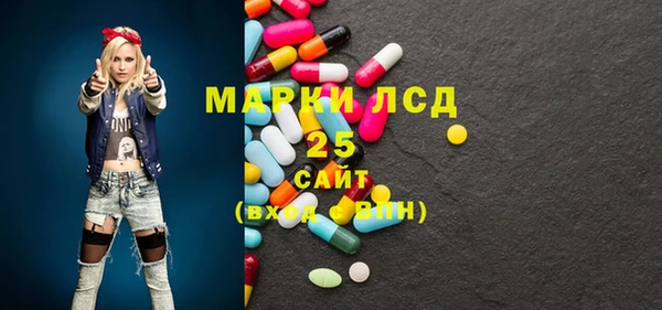 прущие грибы Вязьма