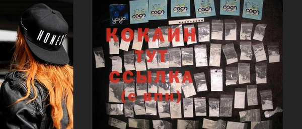 прущие грибы Вязьма