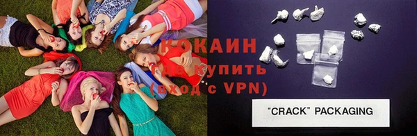 прущие грибы Вязьма