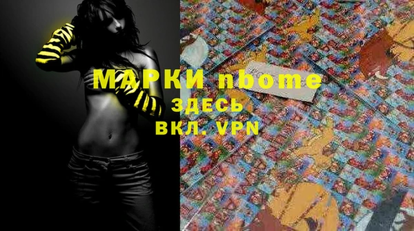 прущие грибы Вязьма