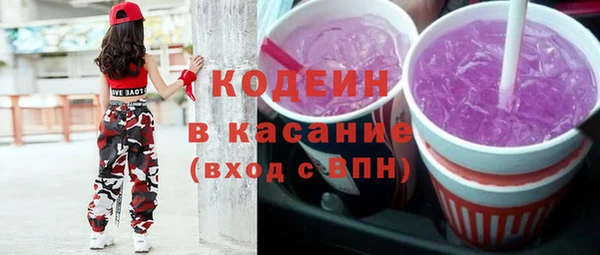 прущие грибы Вязьма