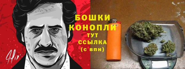 дживик Вяземский