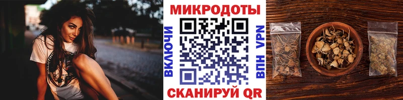 Псилоцибиновые грибы Cubensis  мега зеркало  Саранск  где купить  