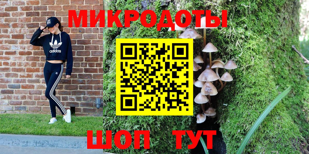 закладки  Вход с VPN  Саранск  Галлюциногенные грибы Cubensis  Галлюциногенные грибы Cubensis 
